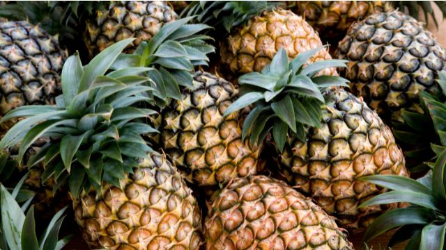 Pineapple
